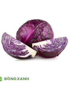 Bắp cải tím