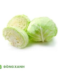 Bắp cải trắng