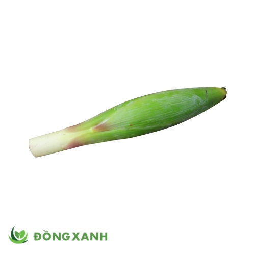 Bắp chuối hột