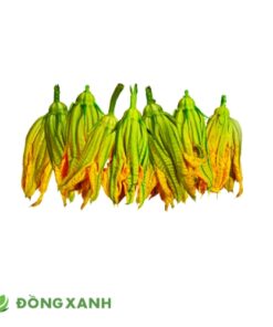 Bông Bí Lặt Sẵn