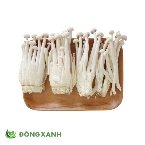 Nấm Bạch Tuyết (Nấm Hải Sản)