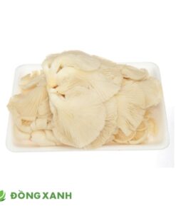 Nấm Bào Ngư Trắng