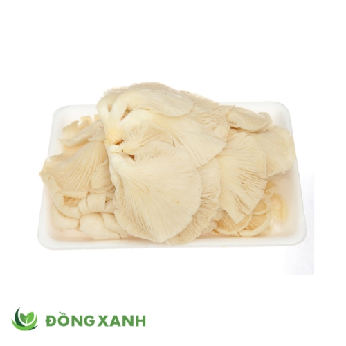 Nấm Bào Ngư Trắng