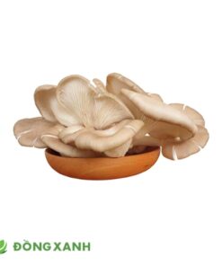 Nấm Bào Ngư Xám