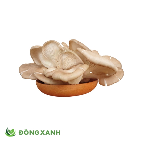 Nấm Bào Ngư Xám