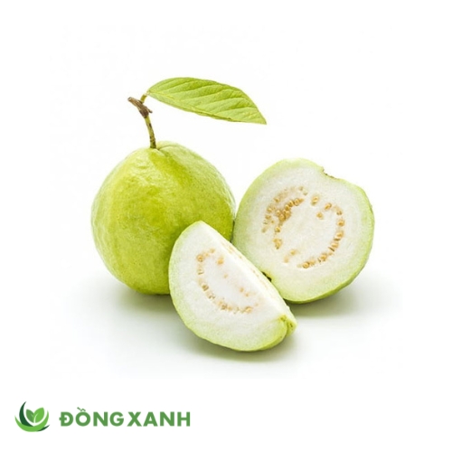 Ổi