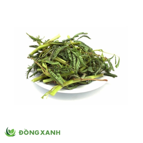 Rau Nhút lặt sẵn