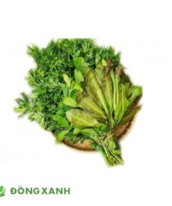 Rau rừng tây ninh