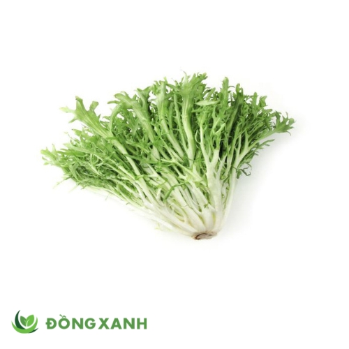 Salach Frise