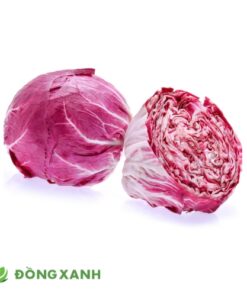 Salad Radicchio