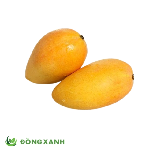 Xoài Chín