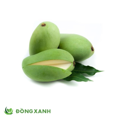 Xoài Sống