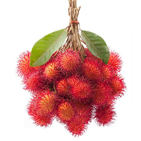 svg+xml,%3Csvg%20viewBox%3D%220%200%20480%20480%22%20xmlns%3D%22http%3A%2F%2Fwww