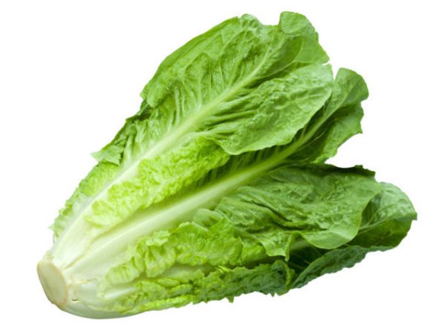 mua-romaine-o-dau