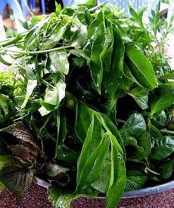 Rau Rừng Tây Ninh