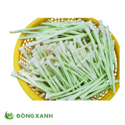 Bồn Bồn