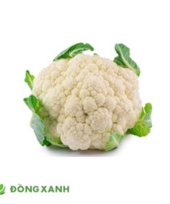 Bông Cải Trắng