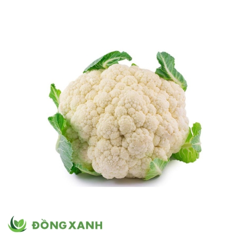 Bông Cải Trắng