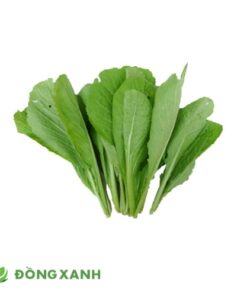 Cải Bẹ Xanh Lá Nhỏ