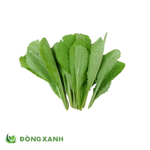 Cải Bẹ Xanh Lá Nhỏ