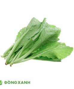 Cải Bẹ Xanh Lá To