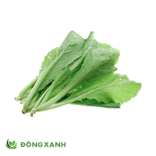 Cải Bẹ Xanh Lá To