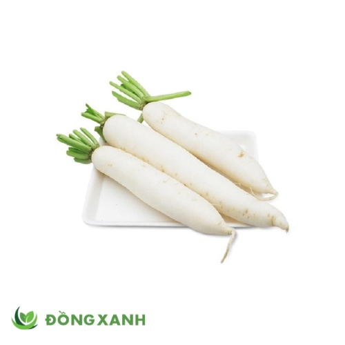Củ Cải Trắng