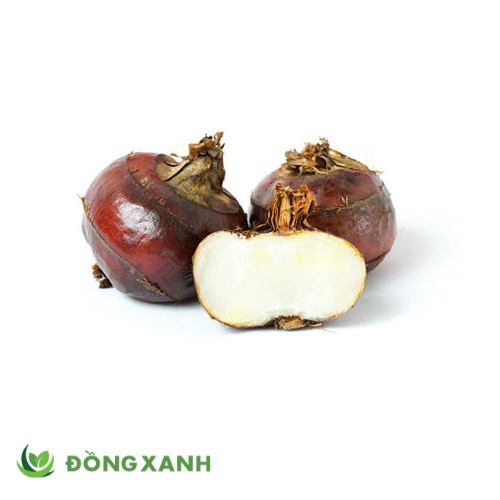 Củ Năng Gọt Vỏ