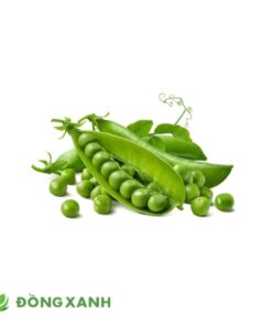Đậu Hà Lan Hạt