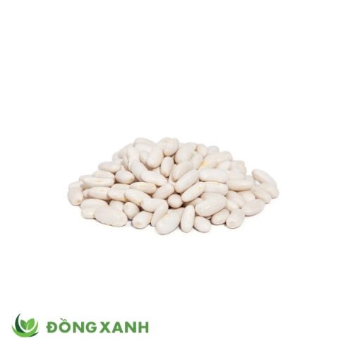Đậu Trắng Tươi