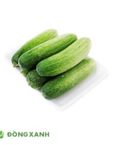 Dưa Leo