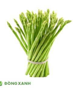 Măng Tây Loại Lớn