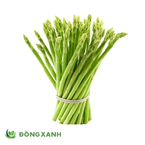 Măng Tây Loại Lớn