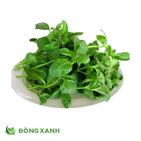 Quế vị