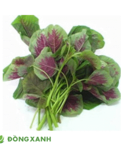 Rau Dền Cắt Sẵn