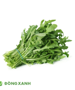 Ràu xà lách Rocket