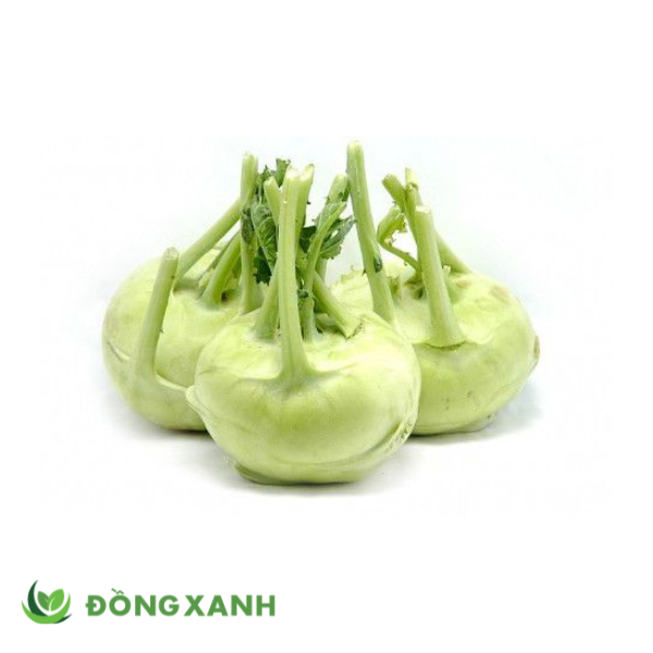 Su hào