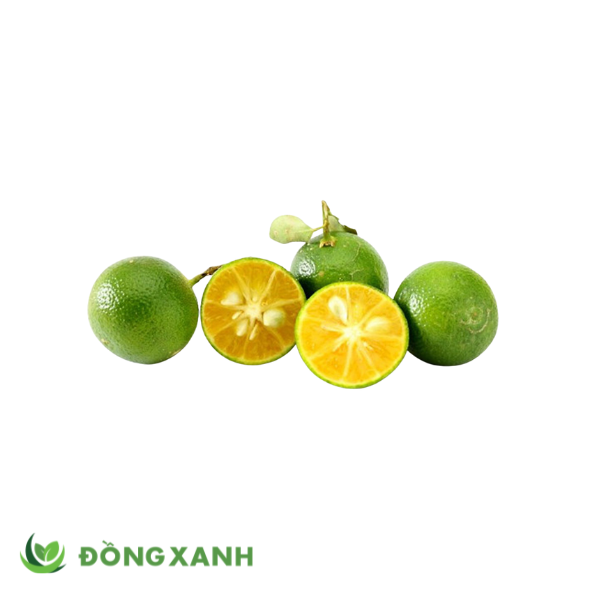 Trái Tắc