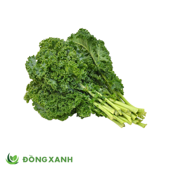 Cải Kale hay còn gọi là cải xoăn
