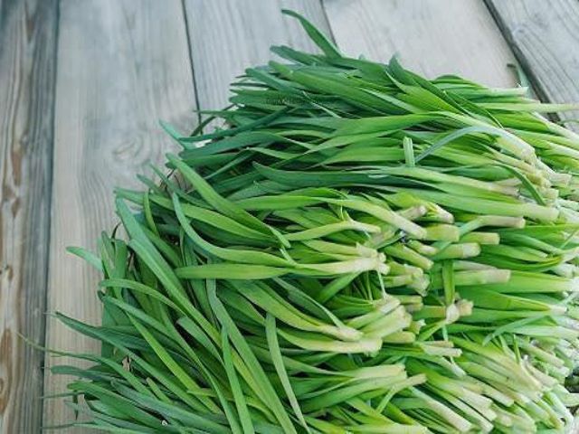 cung cấp hẹ giá sỉ