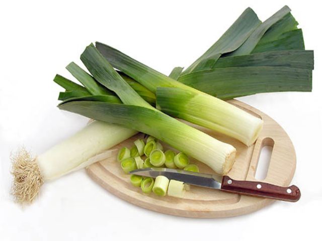 Không nên chọn những cây có gốc quá to