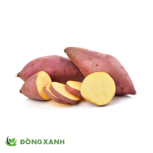 khoai lang vàng