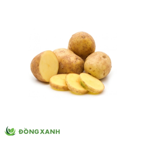 khoai tây Đà Lạt