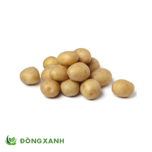 khoai tây bi