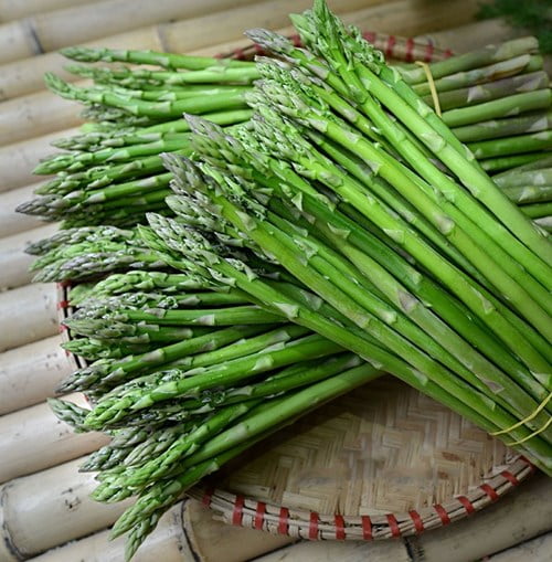 mang-tay-loai-lon