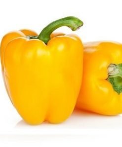 ot chuong vang 600x400