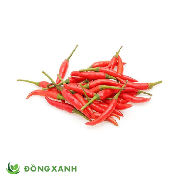 ớt hiểm đỏ