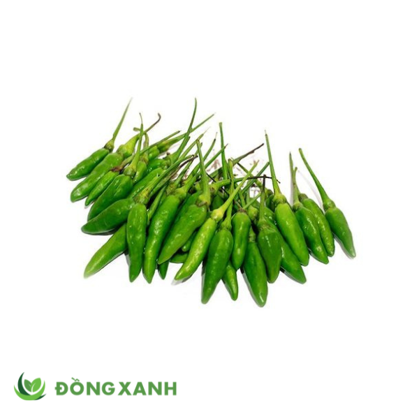 ớt hiểm xanh