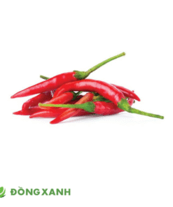 ớt sừng đỏ
