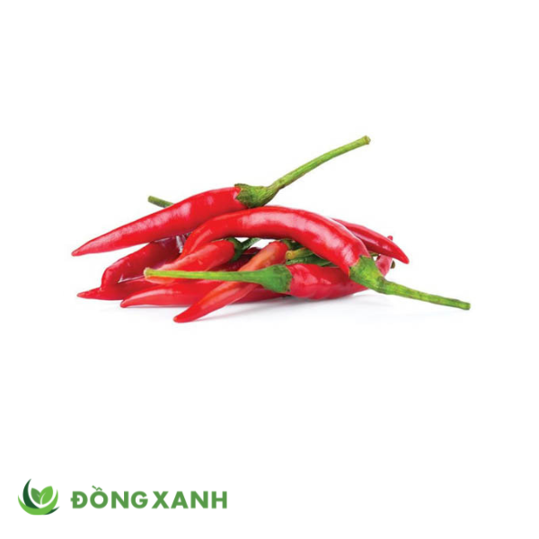 ớt sừng đỏ